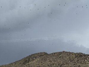 Birds Flying Over Desert Hills